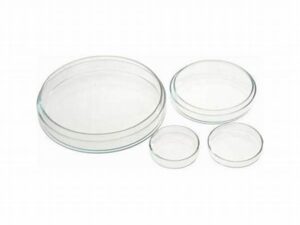 Laboratory Disposables Petri Dish High Borosilicate Glass/Plastic Cell Culture Dishes